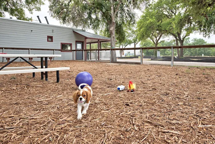 Oak Forest RV Resort Picture 9