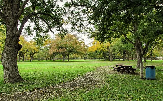 Pecan Park Mobile Homes Picture 2