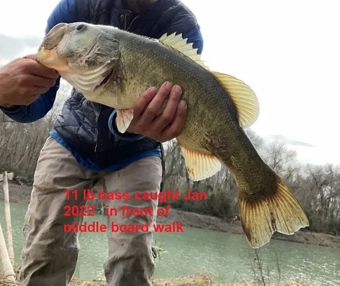 River Acres RV Park Picture 3