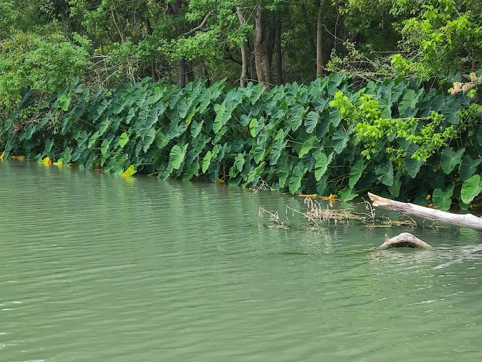 Gone Fishin RV Park Picture 6