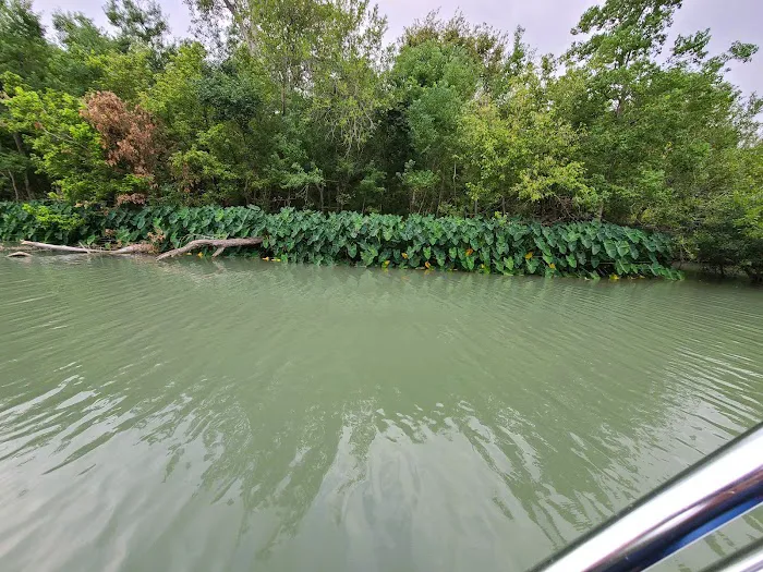 Gone Fishin RV Park Picture 5