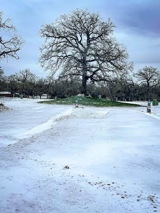 Arrow RV Park Picture 8