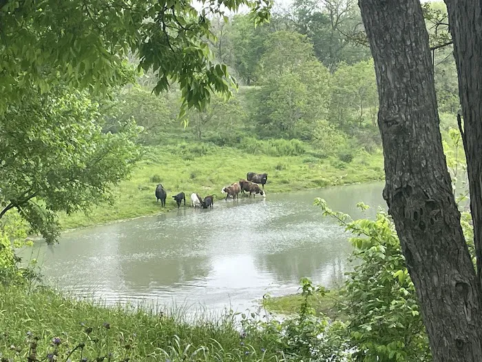 Patriot RV Park - Luling Picture 9