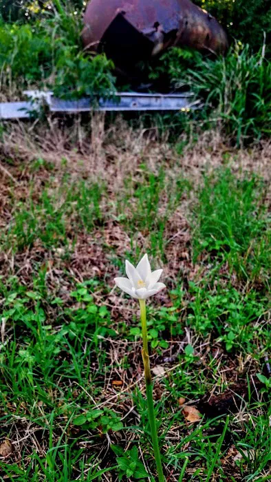 Rivercrest RV Park Picture 5