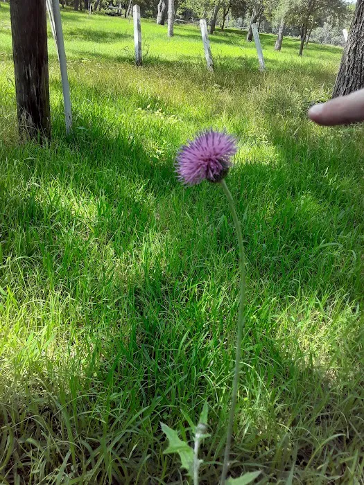 River Haven RV Resort Picture 10