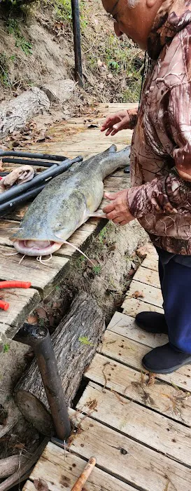 The Guadalupe at Cuero RV Park Picture 9