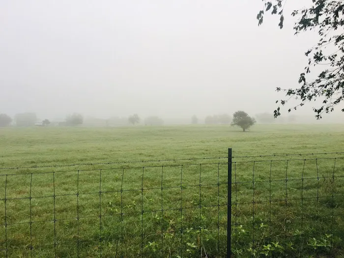 Westhoff RV Park Picture 7