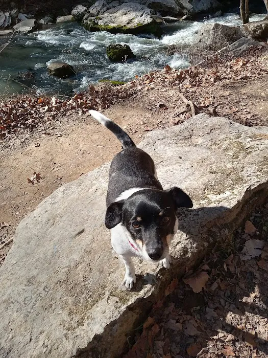 Ardmore RV Park Picture 6