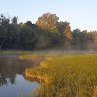 Boondockers Landing ico