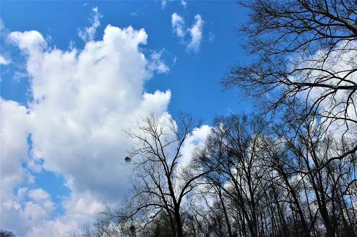 Boondockers Landing Picture 6