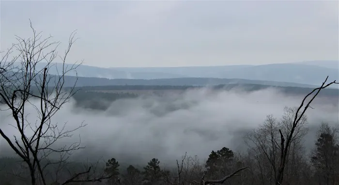 Boondockers Landing Picture 4