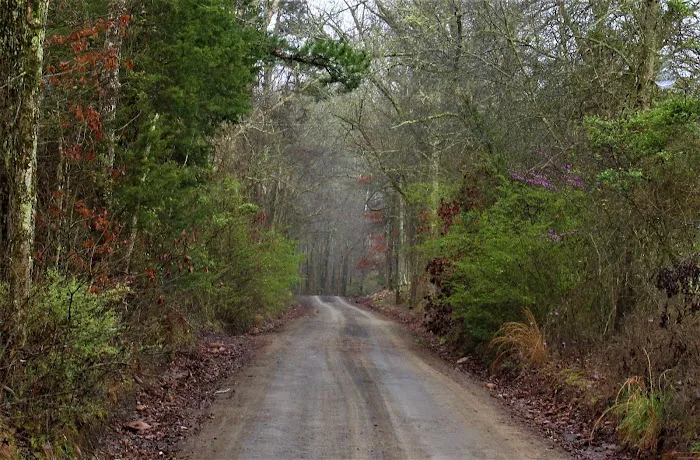 Boondockers Landing Picture 10