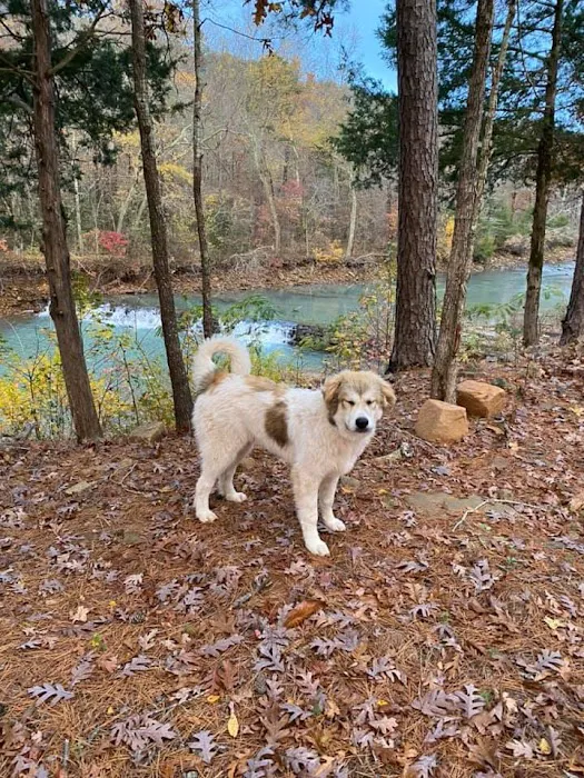 Cucumber Creek RV Park Picture 6