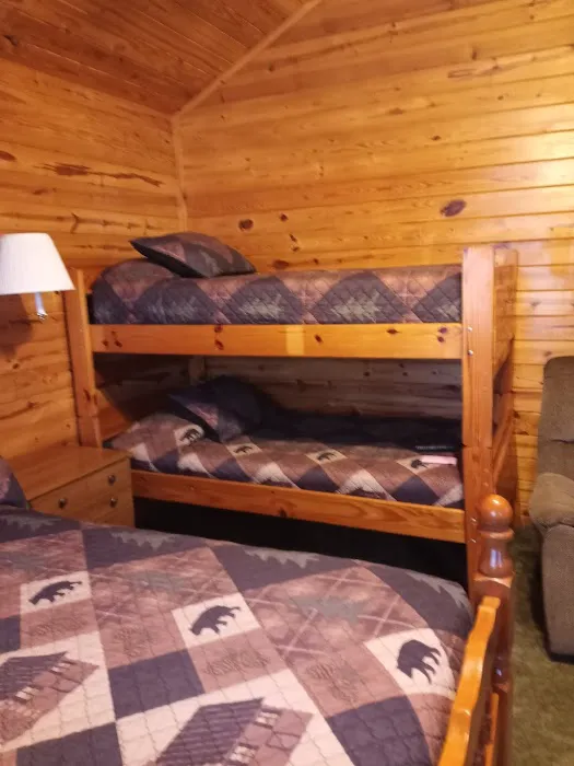 Big Cedar Cabins & RV Park Picture 1