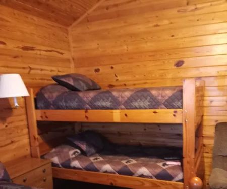 Big Cedar Cabins & RV Park
