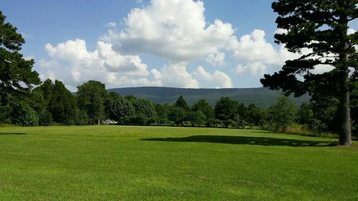 Big Cedar Cabins & RV Park Picture 6