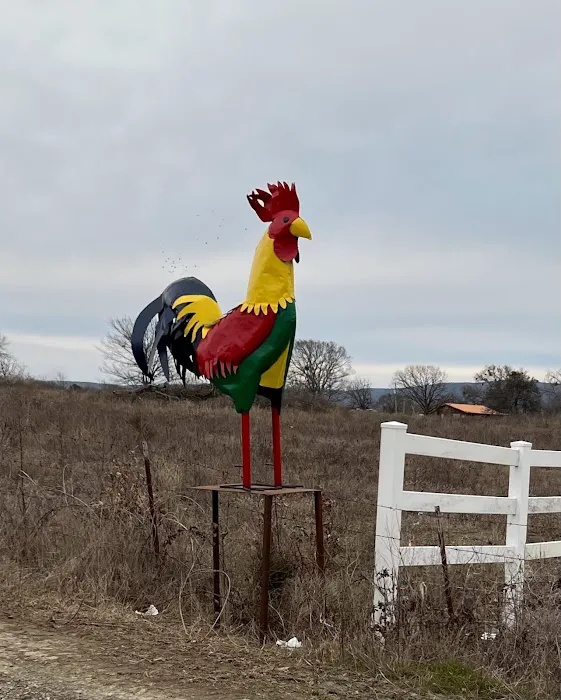 The Ugly Rooster RV Park & Cabins, LLC. Picture 2