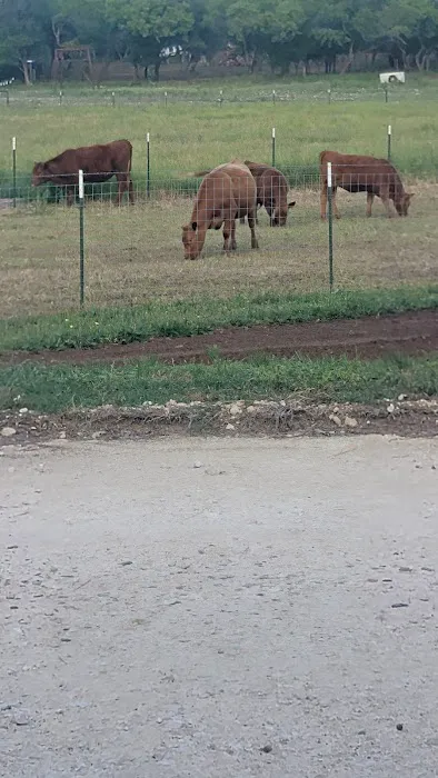 Flying B RV Park Picture 8