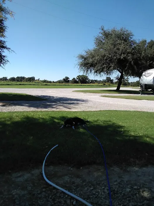 Camel Stop Inc Picture 4