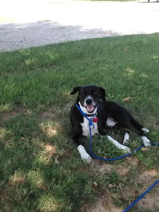 Camel Stop Inc Picture 8