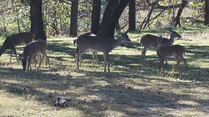 Comanche City Park RV Parking Picture 1
