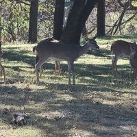 Comanche City Park RV Parking ico