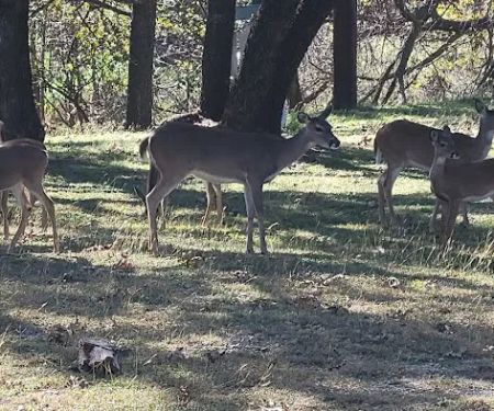 Comanche City Park RV Parking