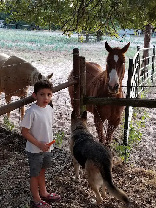 Little Star RV Park, LLC Picture 6