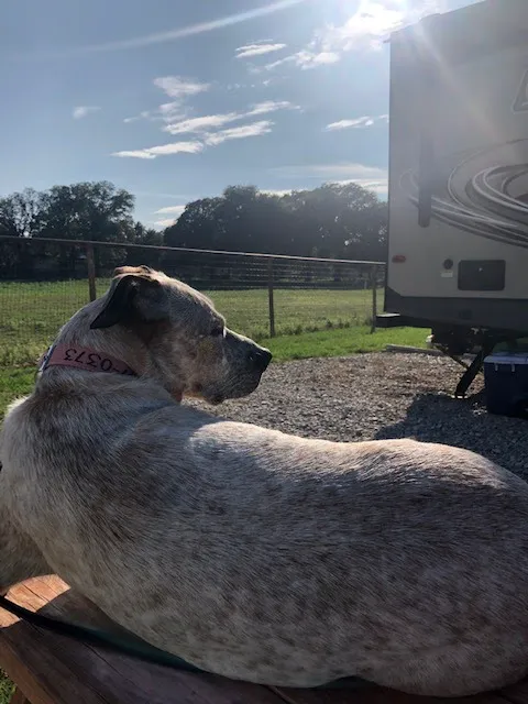 Little Star RV Park, LLC Picture 9