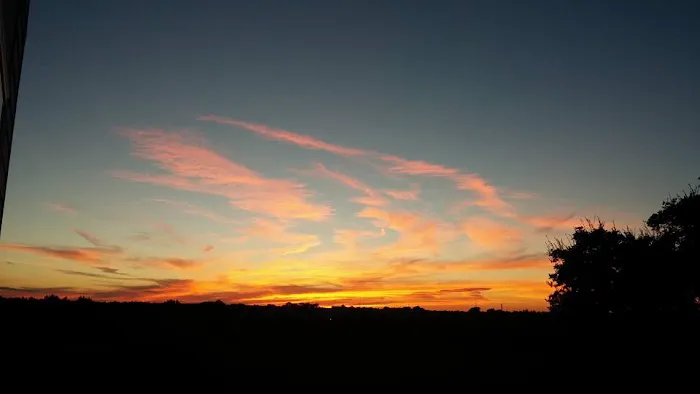 Country Oasis RV Park Picture 2