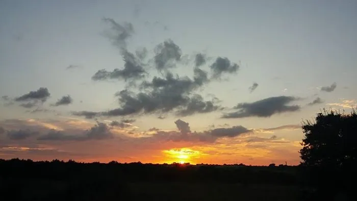 Country Oasis RV Park Picture 3