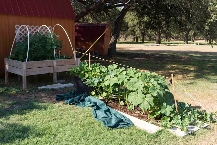 Rising Spirit RV Park Short Term and Long Term Picture 5