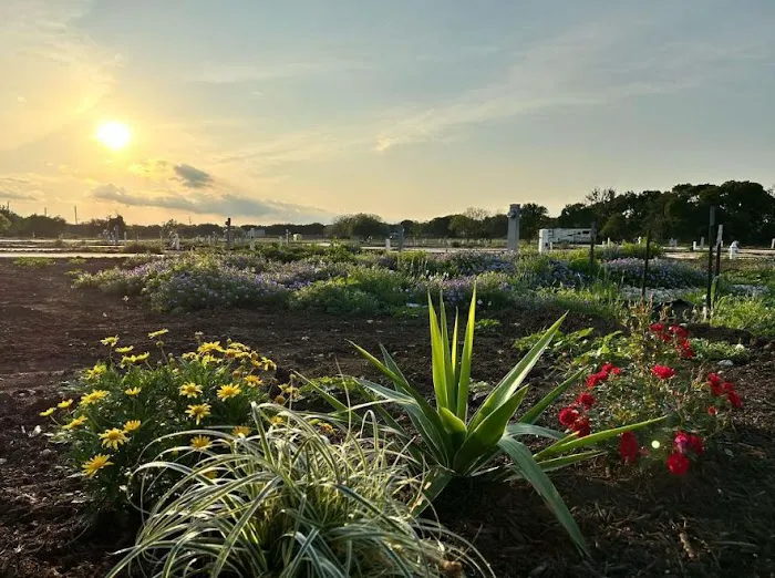 Juniper Ridge RV Village Picture 9