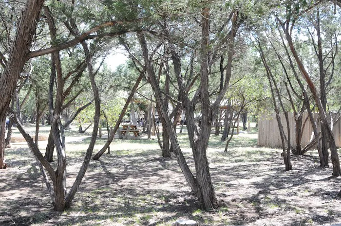 Patriot RV Park - Bertram Picture 3