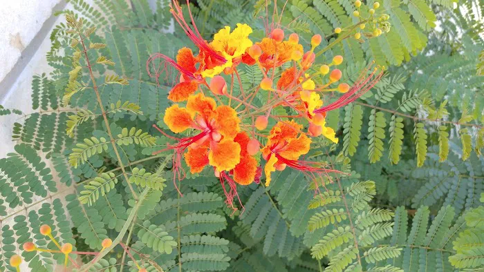 Valley View RV Park Picture 8