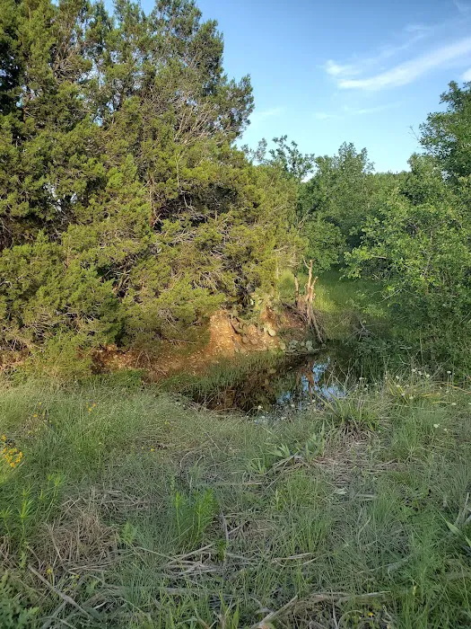 Berry Springs RV Park Picture 7