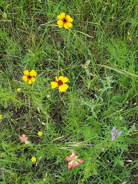 Berry Springs RV Park Picture 9