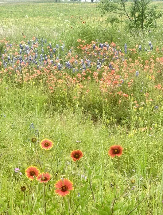 Hwy 29 RV Park Picture 2