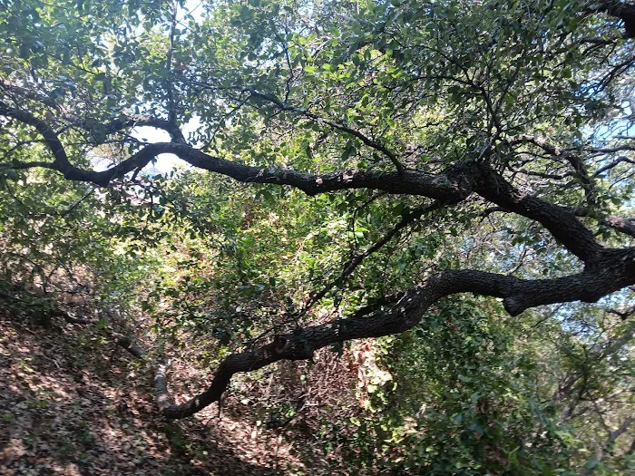 Hwy 29 RV Park Picture 3