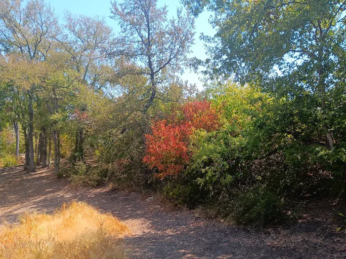 Hwy 29 RV Park Picture 4