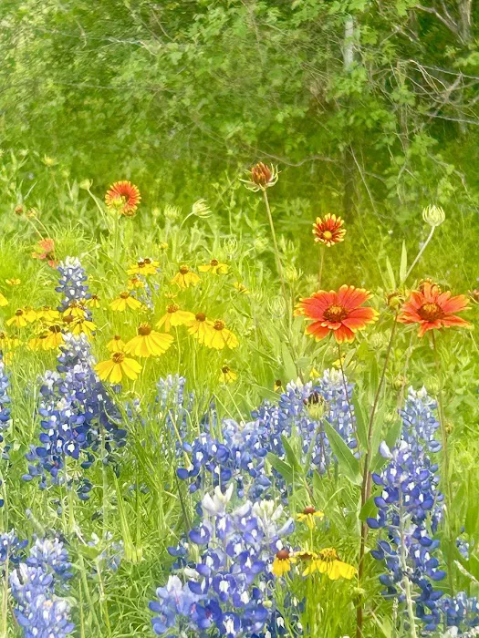 Hwy 29 RV Park Picture 9