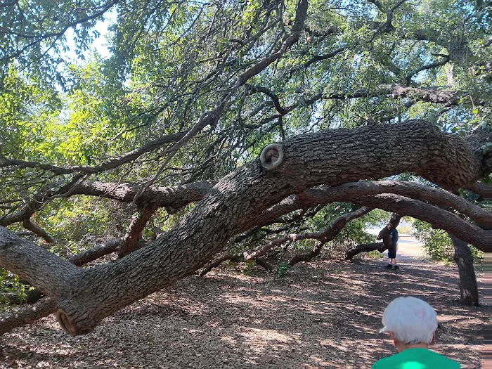 Hwy 29 RV Park Picture 7