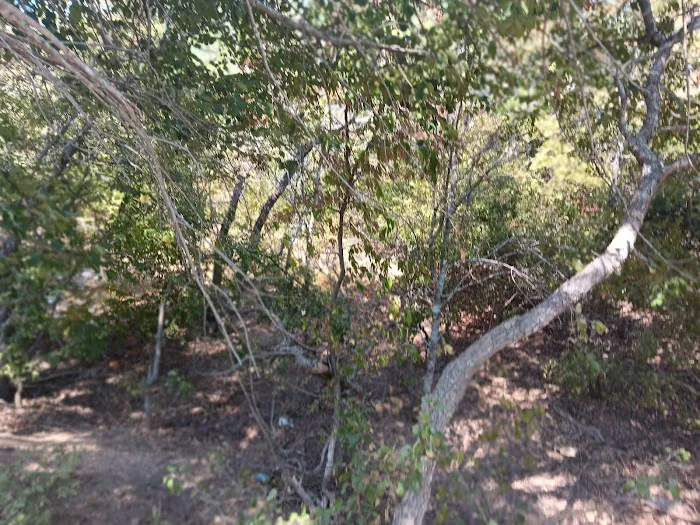 Hwy 29 RV Park Picture 8