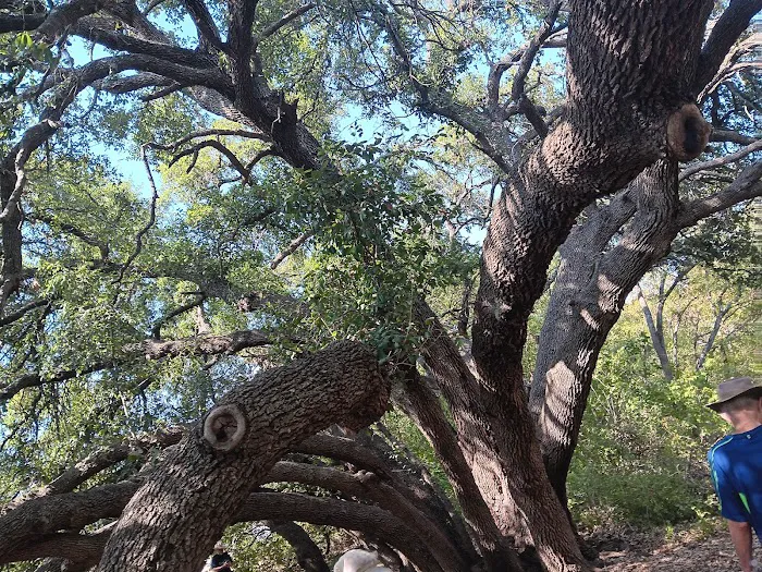 Hwy 29 RV Park Picture 10