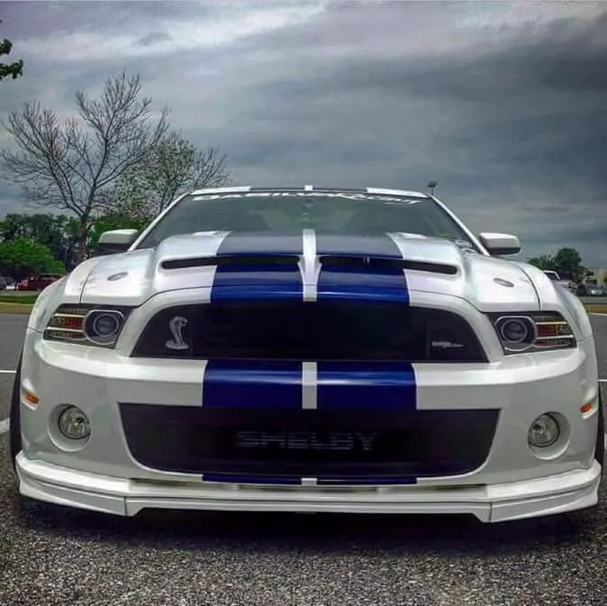 Grand Oaks at Liberty Hill Picture 10