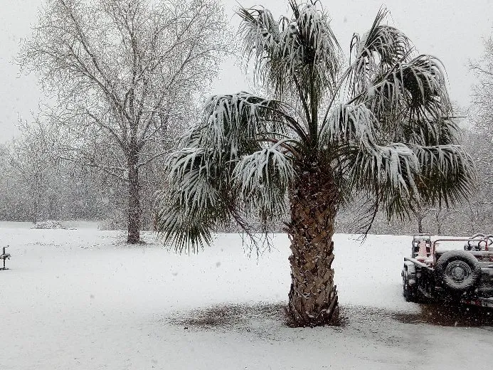 Shady River RV Resort Picture 10