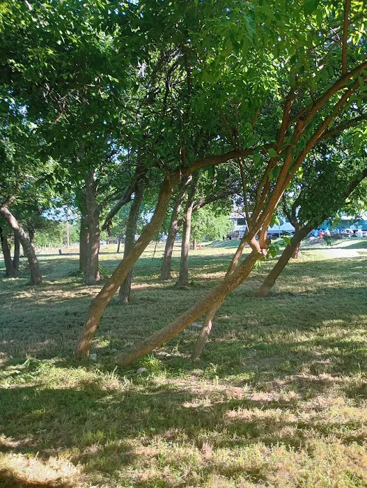 Stout RV Parks Inc Picture 5