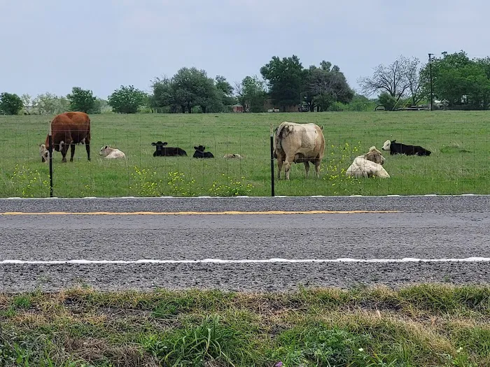 Central Texas RV Parks Picture 3