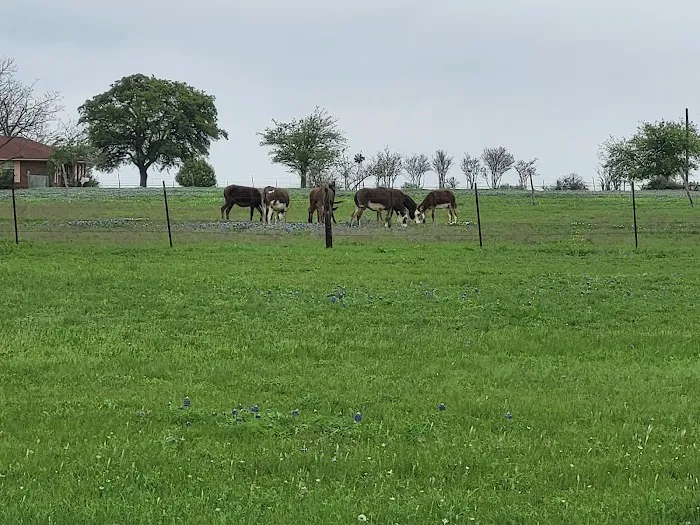 Central Texas RV Parks Picture 5