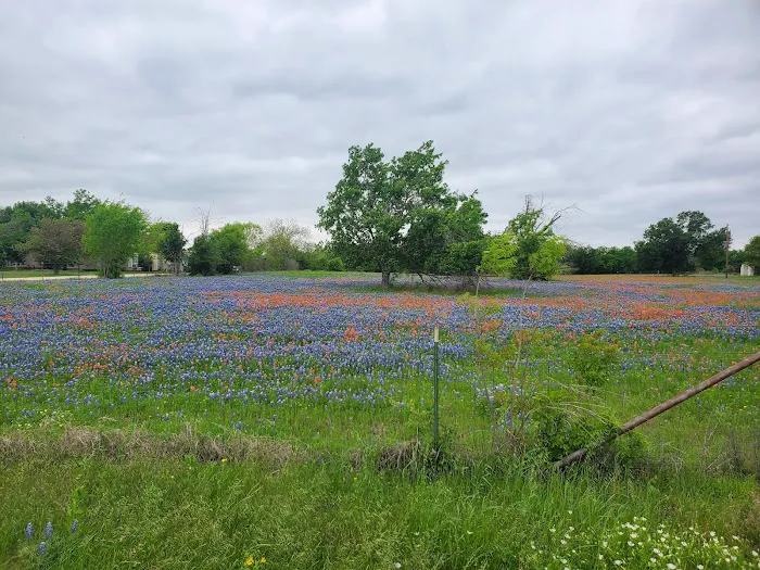 East View RV Ranch Picture 6